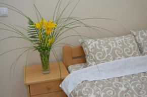 Гостиница Guest House Konak Iris  Предејане